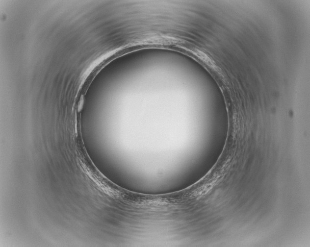 X0000060230838200511111901
