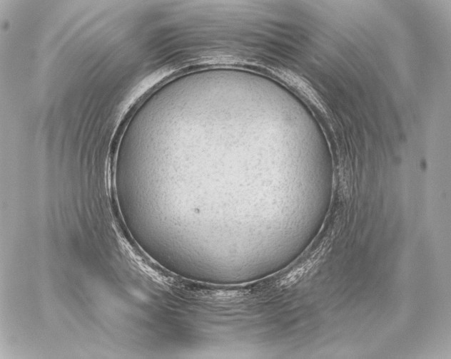 X0000060230839200511111901