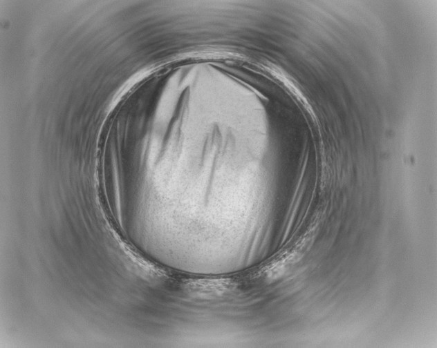 X0000060230853200511111901
