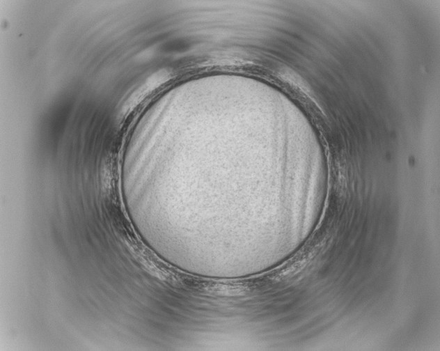 X0000060230874200511111901