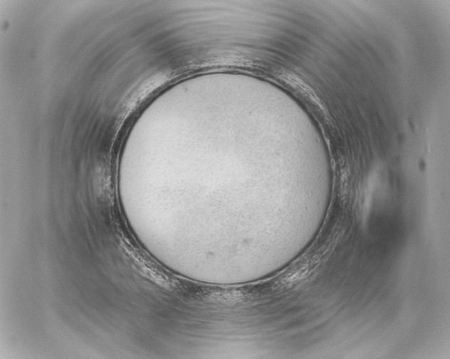 X0000060230882200511111900