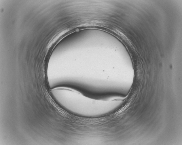 X0000060230885200511111900