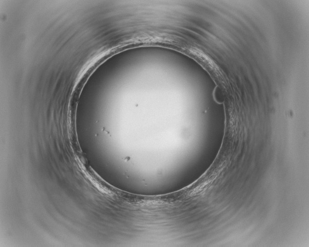 X0000060230894200511111900