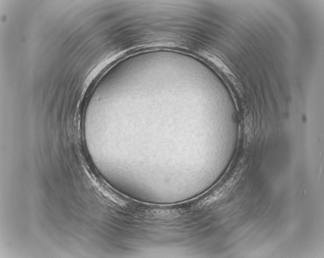 X0000060230933200511111859