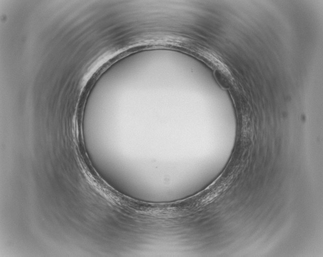 X0000060230936200511111859