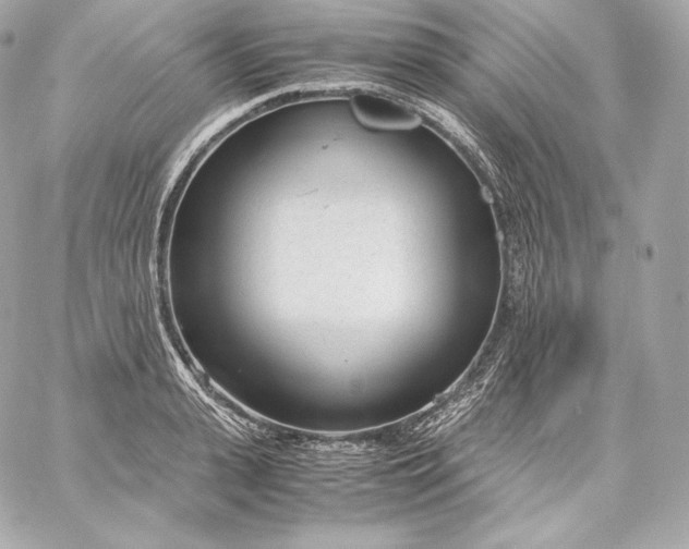 X0000060230943200511111900