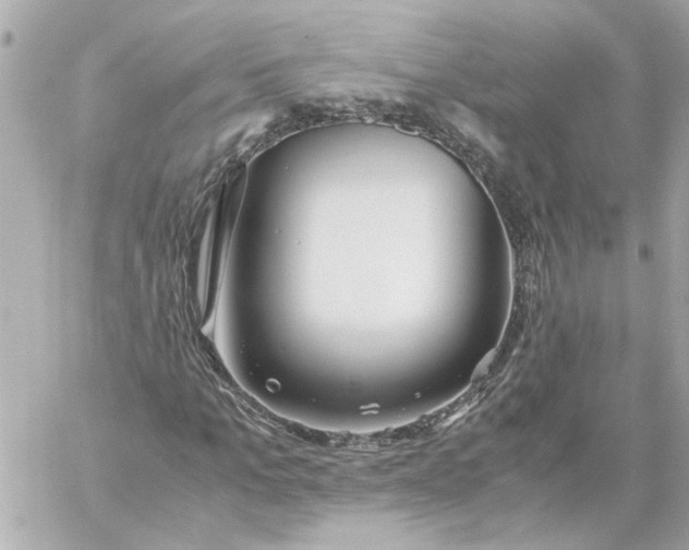 X0000060230965200511111859