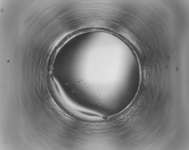 X0000060230972200511111859