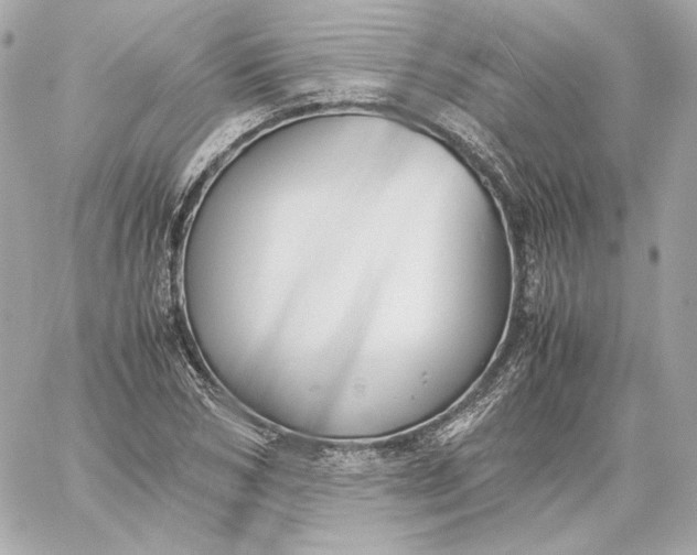 X0000060230978200511111859