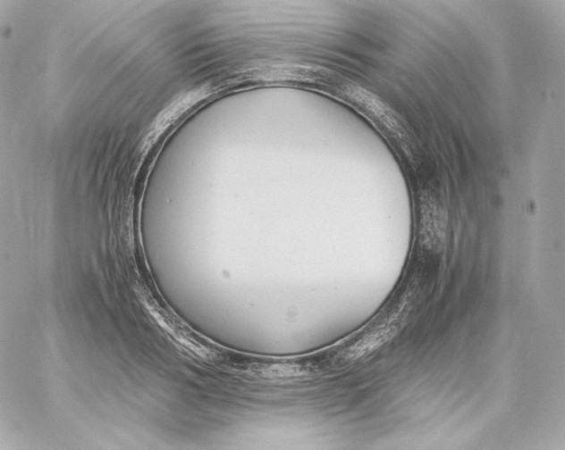 X0000060230986200511111859
