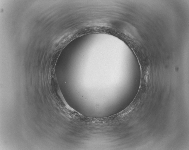 X0000060231014200511111858