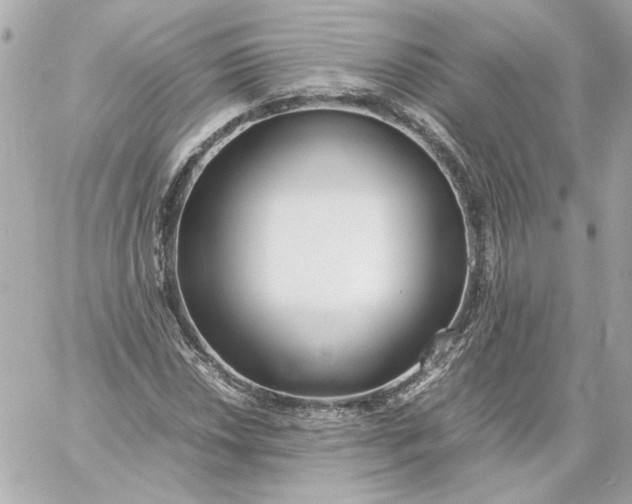 X0000060231018200511111858