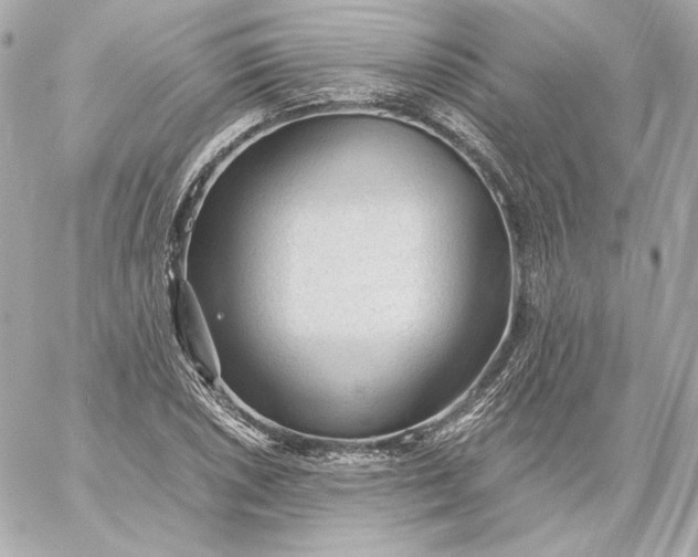X0000060231026200511111858