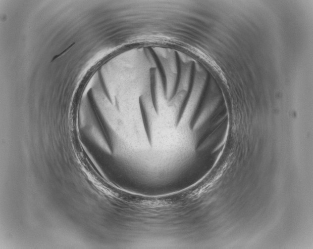 X0000060231037200511111858