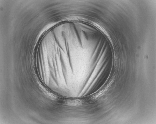 X0000060231045200511111858