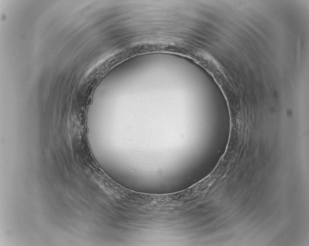 X0000060231064200511111857