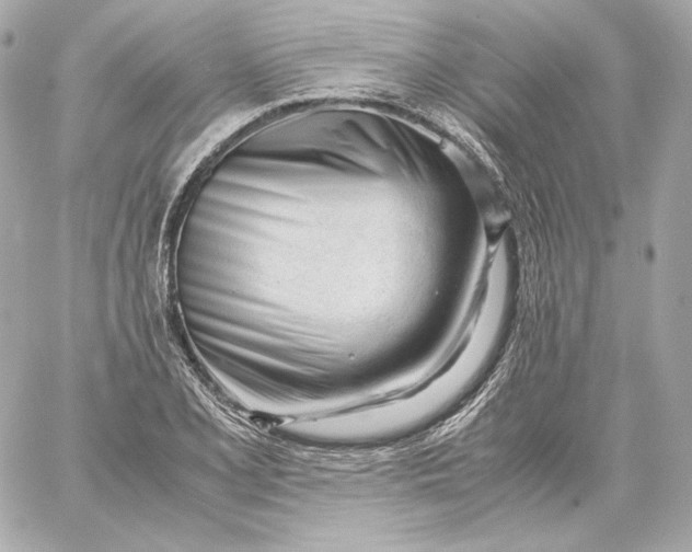 X0000060231077200511111857