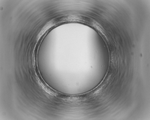 X0000060231082200511111857