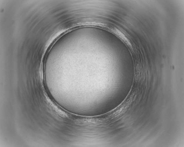 X0000060231084200511111857