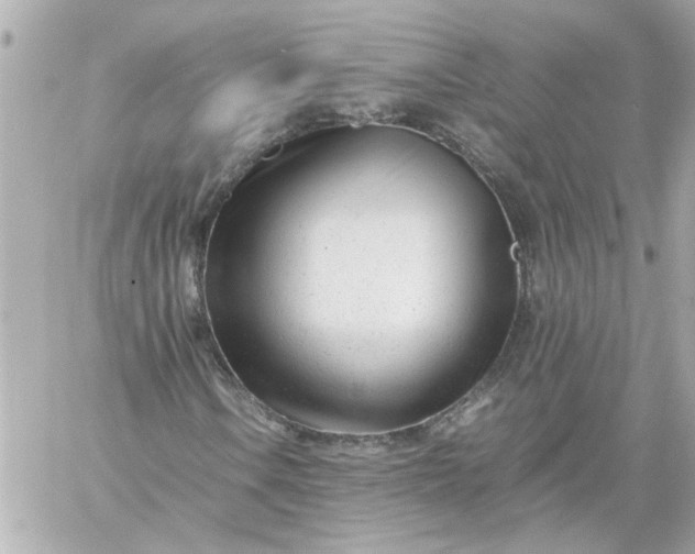 X0000060231106200511111856