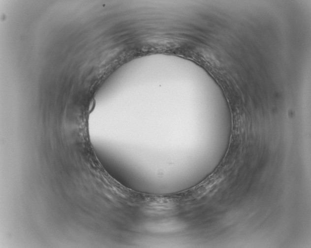X0000060231109200511111856