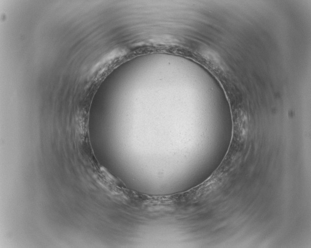 X0000060231110200511111856