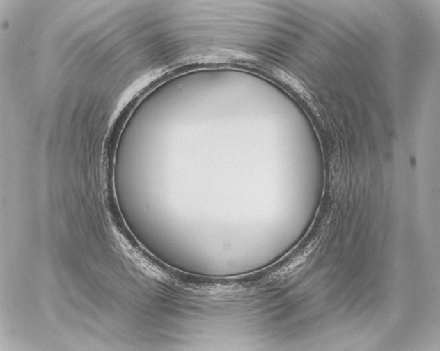 X0000060231122200511111856