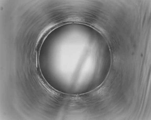 X0000060231123200511111856