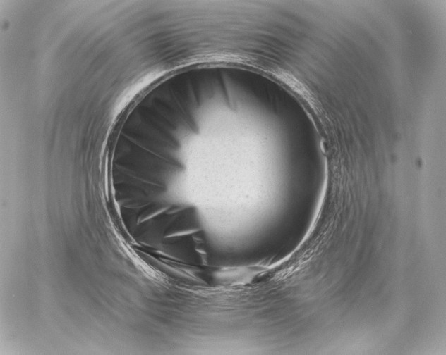 X0000060231127200511111856