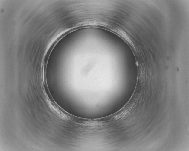 X0000060231132200511111856
