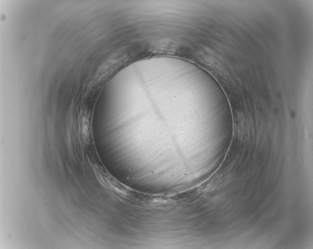 X0000060231154200511111856