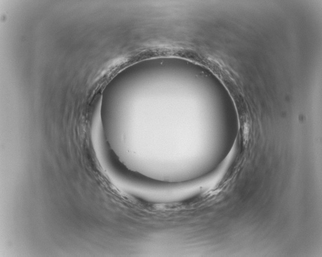 X0000060231157200511111856