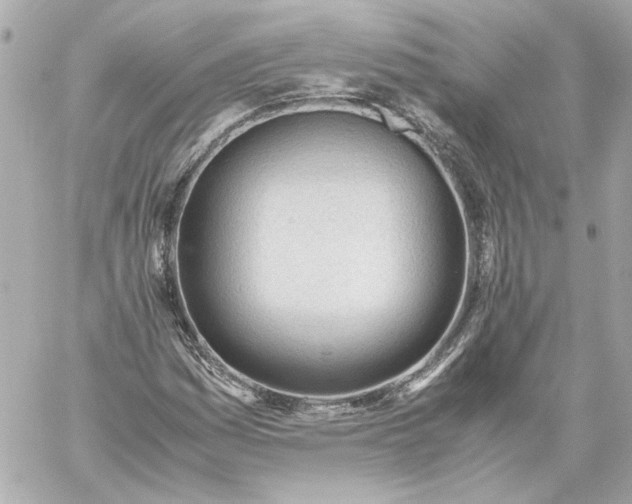 X0000060231161200511111856