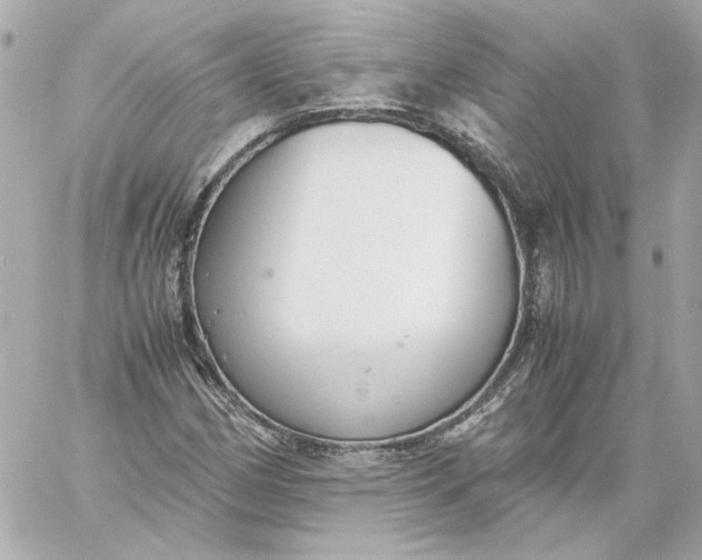 X0000060231162200511111856