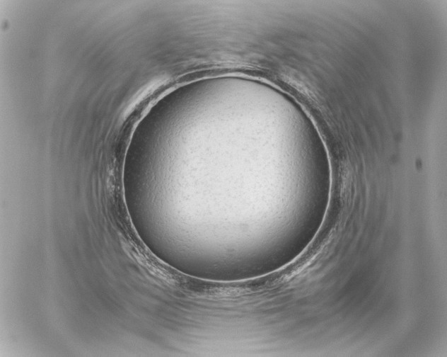X0000060231163200511111856