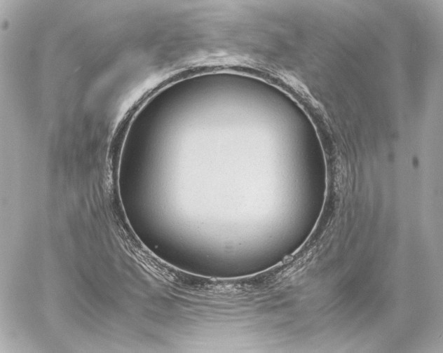 X0000060231167200511111855