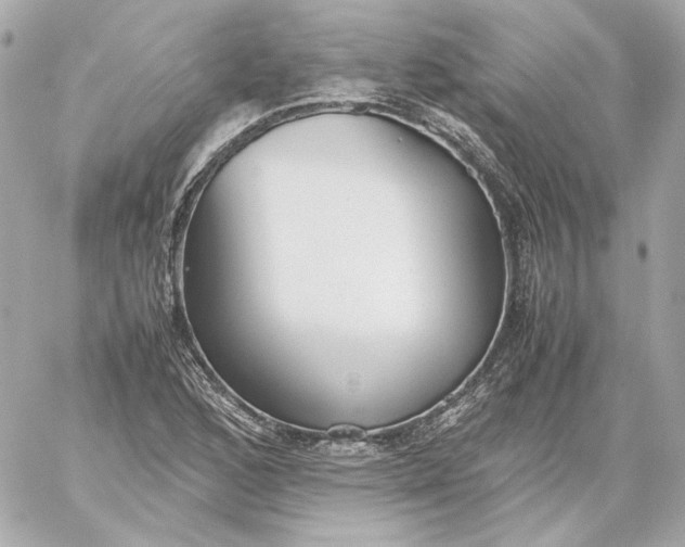 X0000060231168200511111855