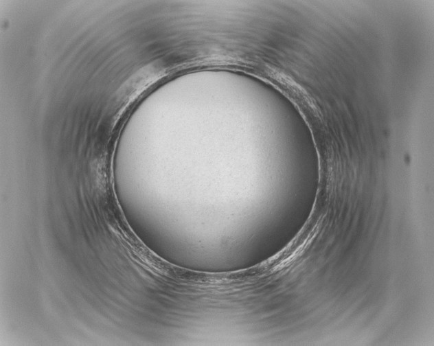 X0000060231170200511111855
