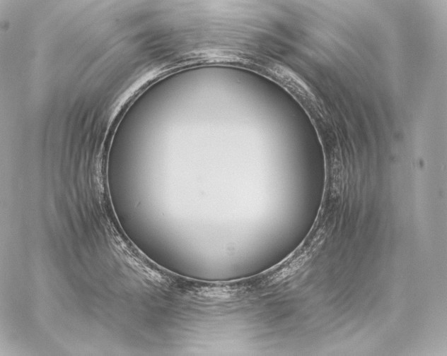 X0000060231182200511111855