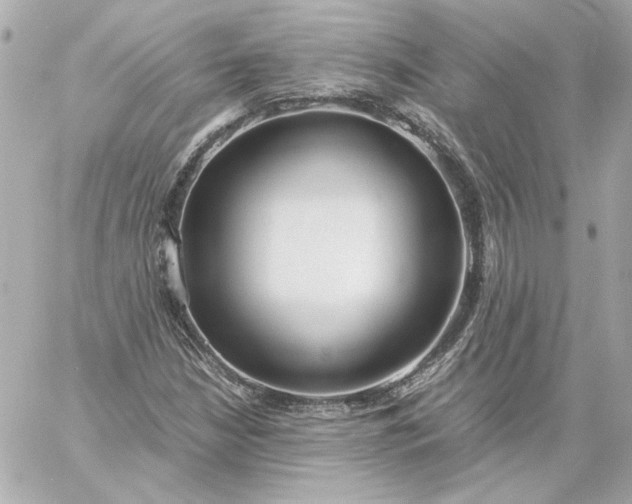 X0000060231210200511111854