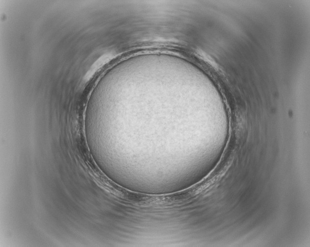 X0000060231259200511111854