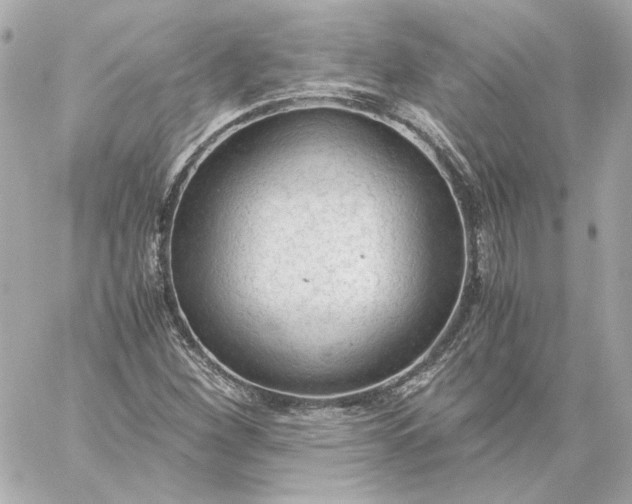 X0000060231260200511111854