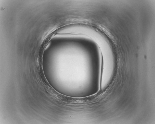 X0000060231261200511111854