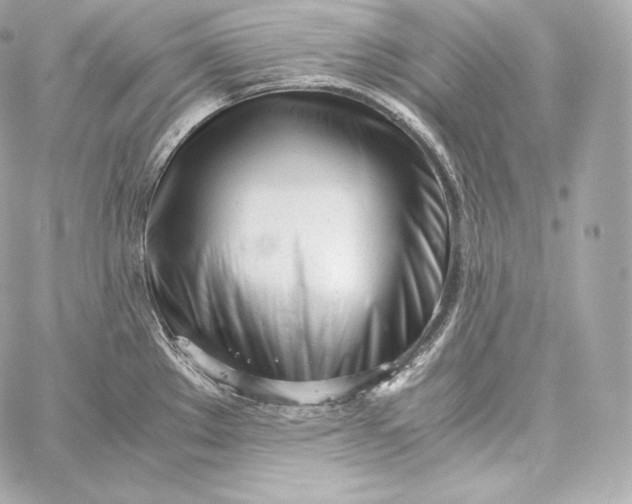 X0000060231289200511111853
