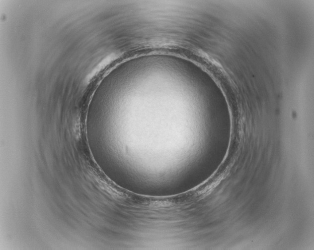 X0000060231306200511111852