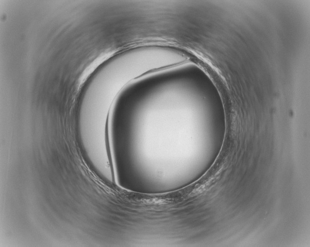 X0000060231317200511111853