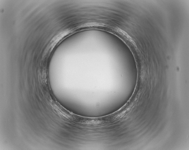 X0000060231321200511111853