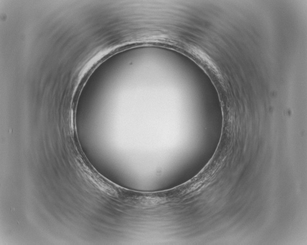 X0000060231324200511111853