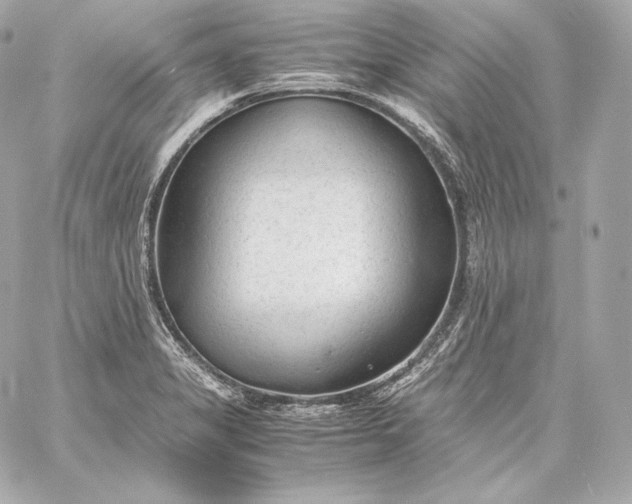 X0000060231325200511111853