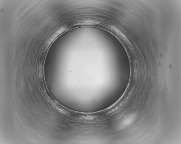 X0000060231329200511111853